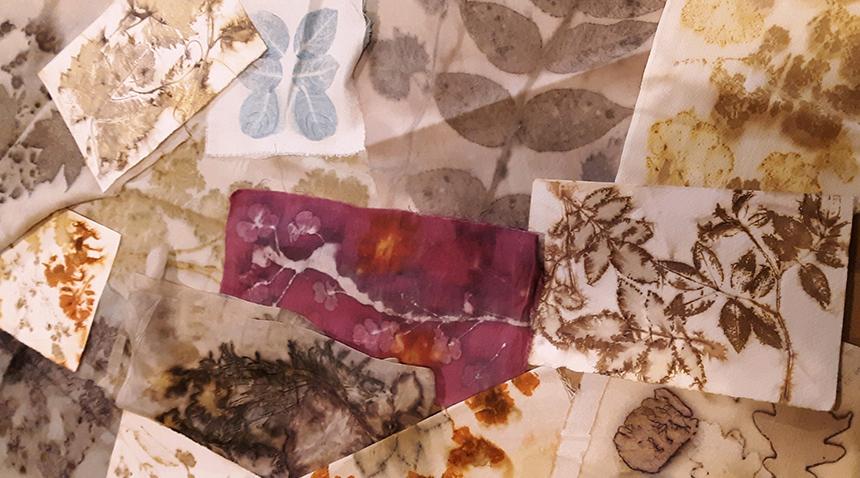 artwork of leaves imprinted on paper with colorful dyes